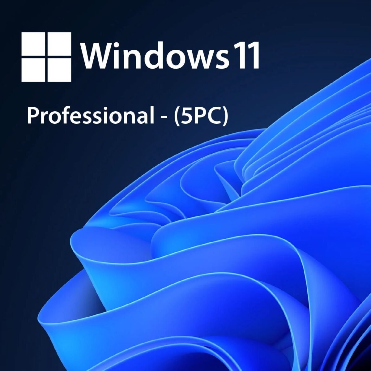 urlicenses window 11 pro 5pc