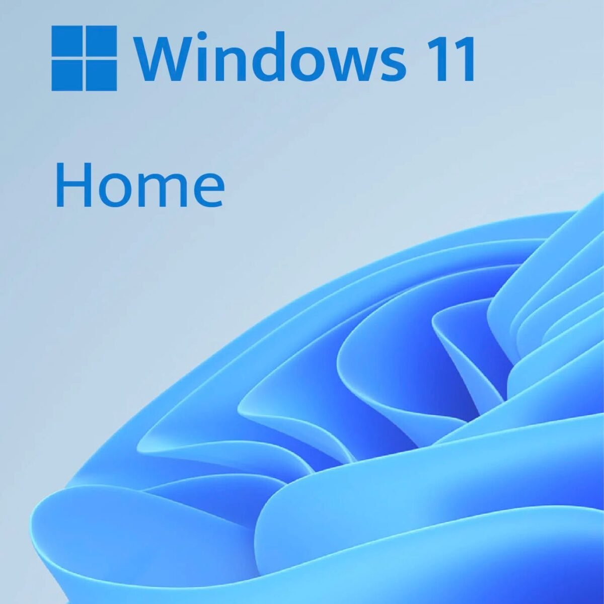 urlicenses window 11 home