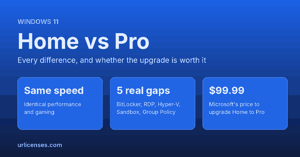 windows 11 home vs pro